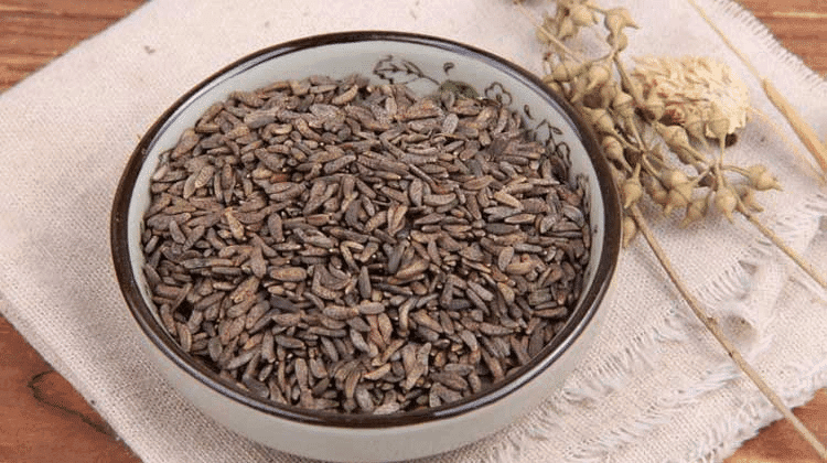 Arctium lappa Extract