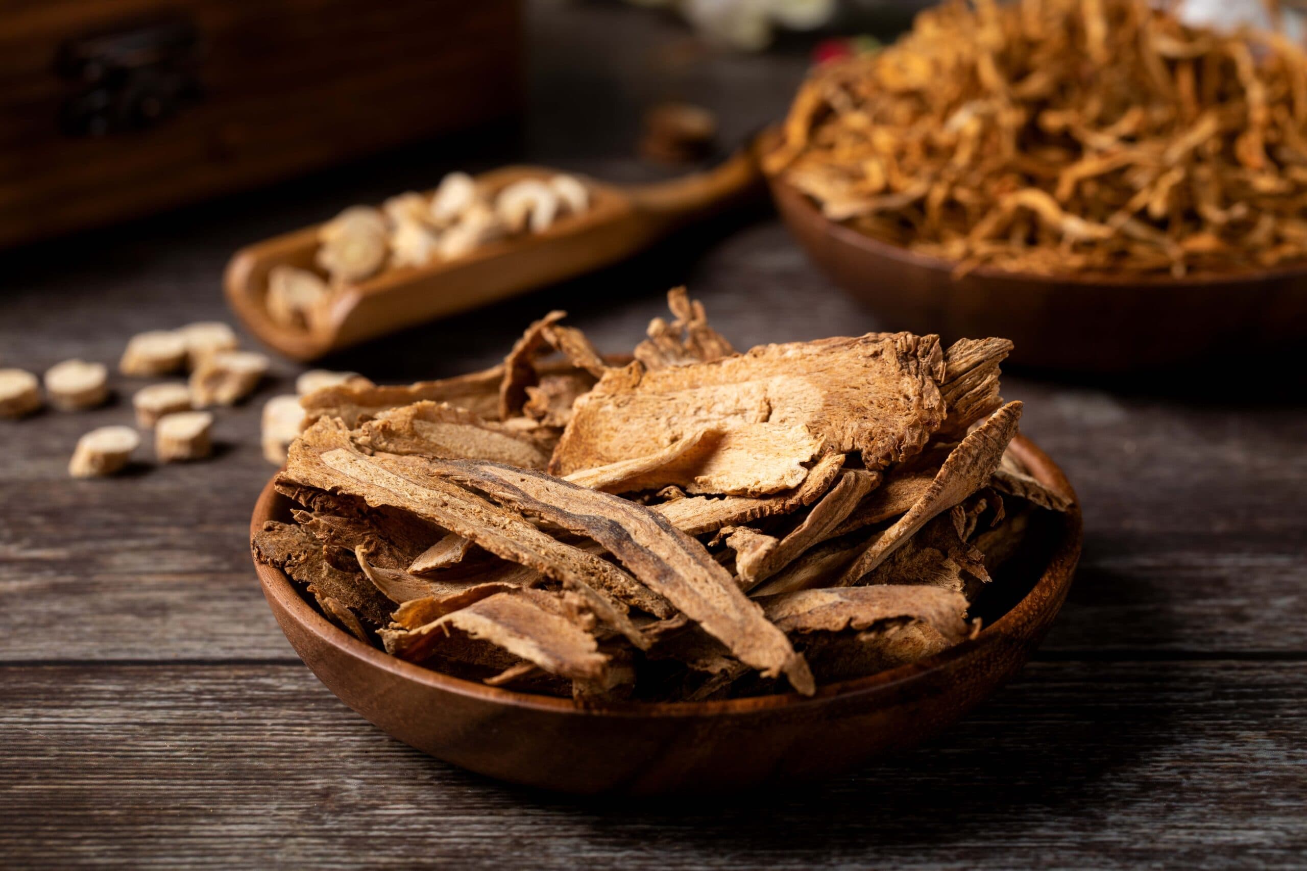 Angelica (Angelica Sinenedis(div)Diels) extract (standardized to Ligustilide 1%) for B2B manufacturing