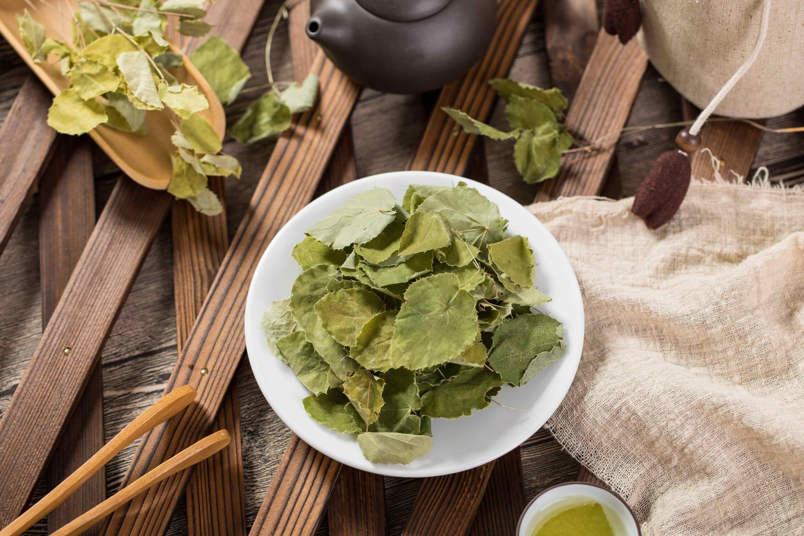 Epimedium (Epimedium brevicornum Maxim) extract (standardized to Icariin 5%-50%) for B2B manufacturing