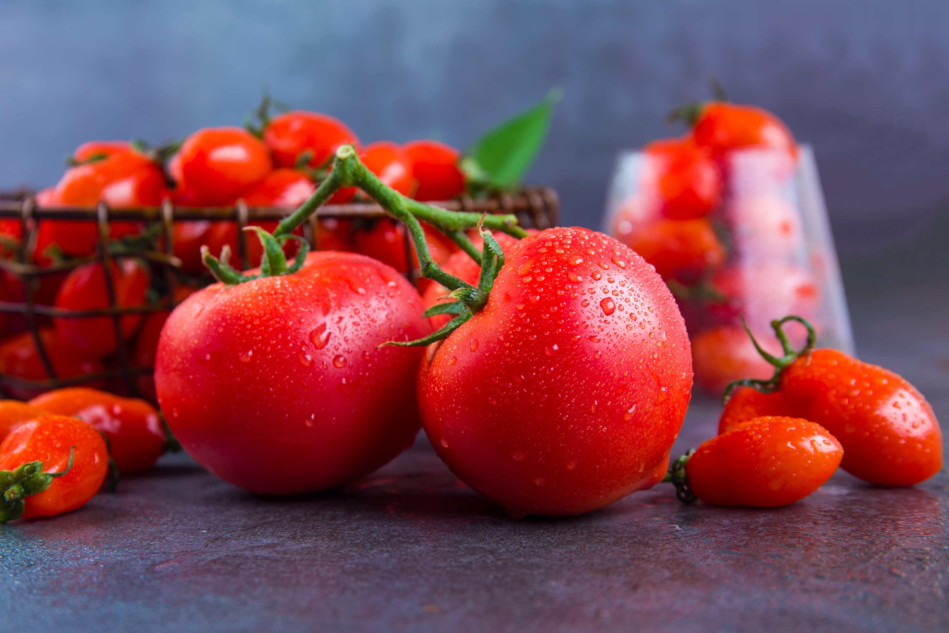 Tomato Extract/Tomato Powder/Tomato