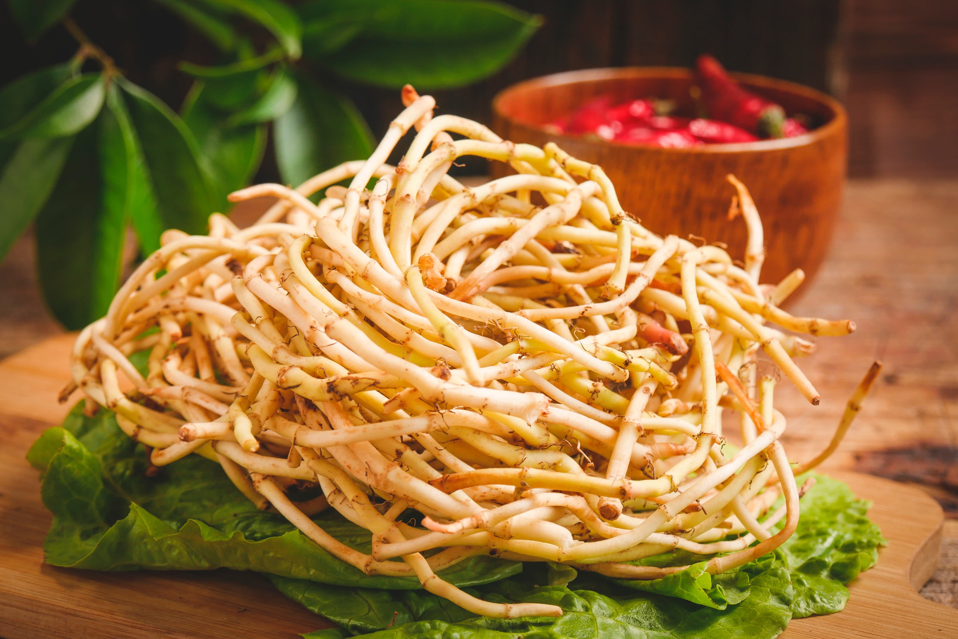 Houttuynia Cordata Extract