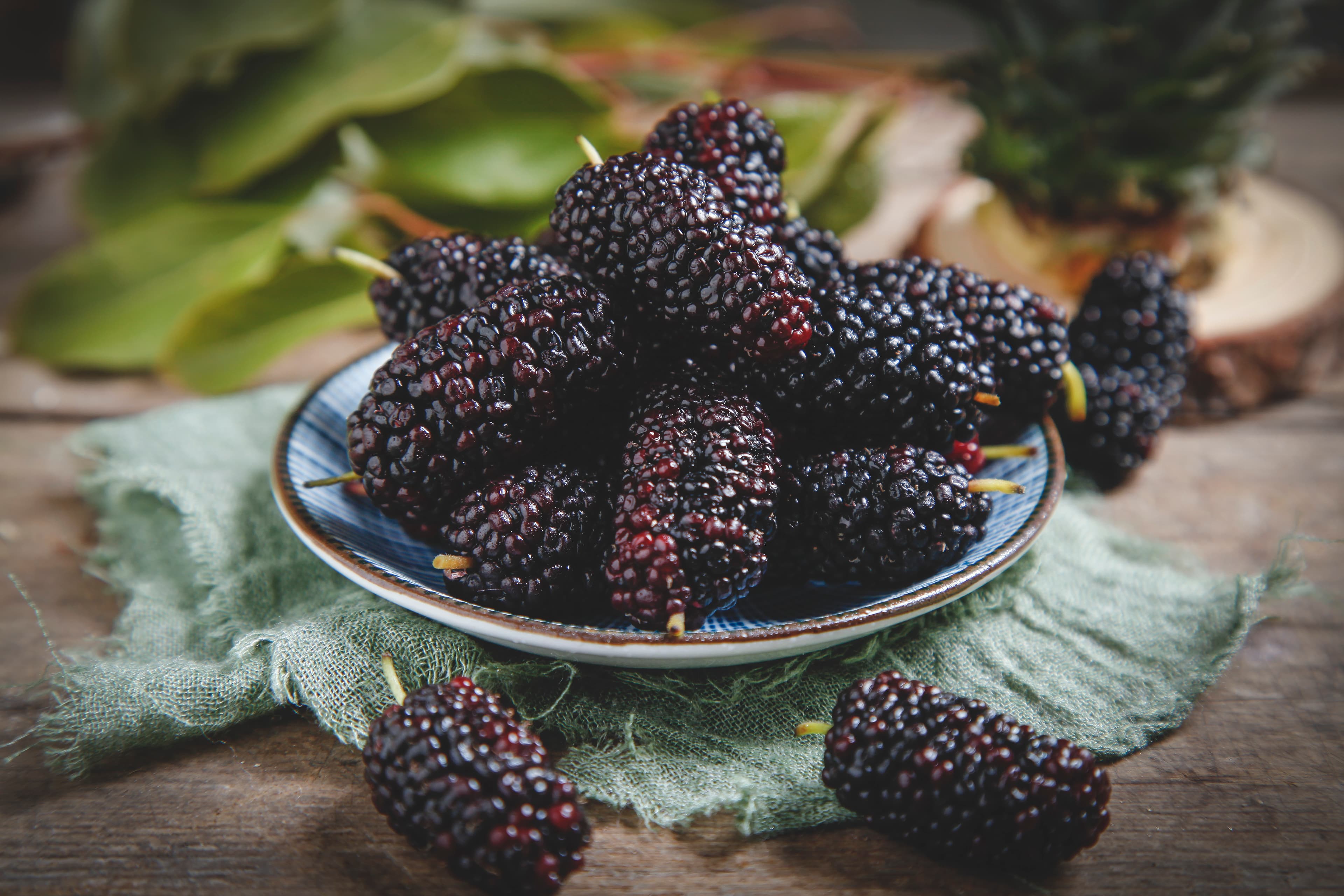 Mulberry Fruit Powder (Morus alba L.) extract (standardized extract) for B2B manufacturing