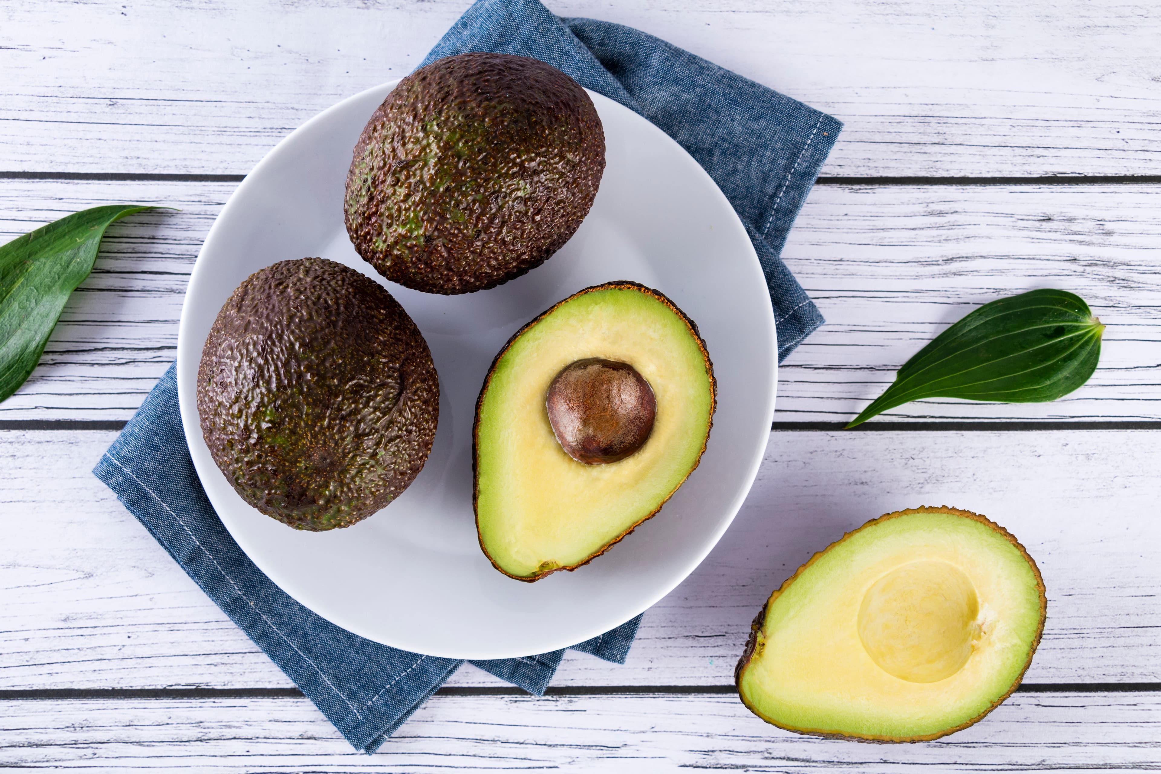 Avocado Powder (Persea americana) extract (standardized extract) for B2B manufacturing