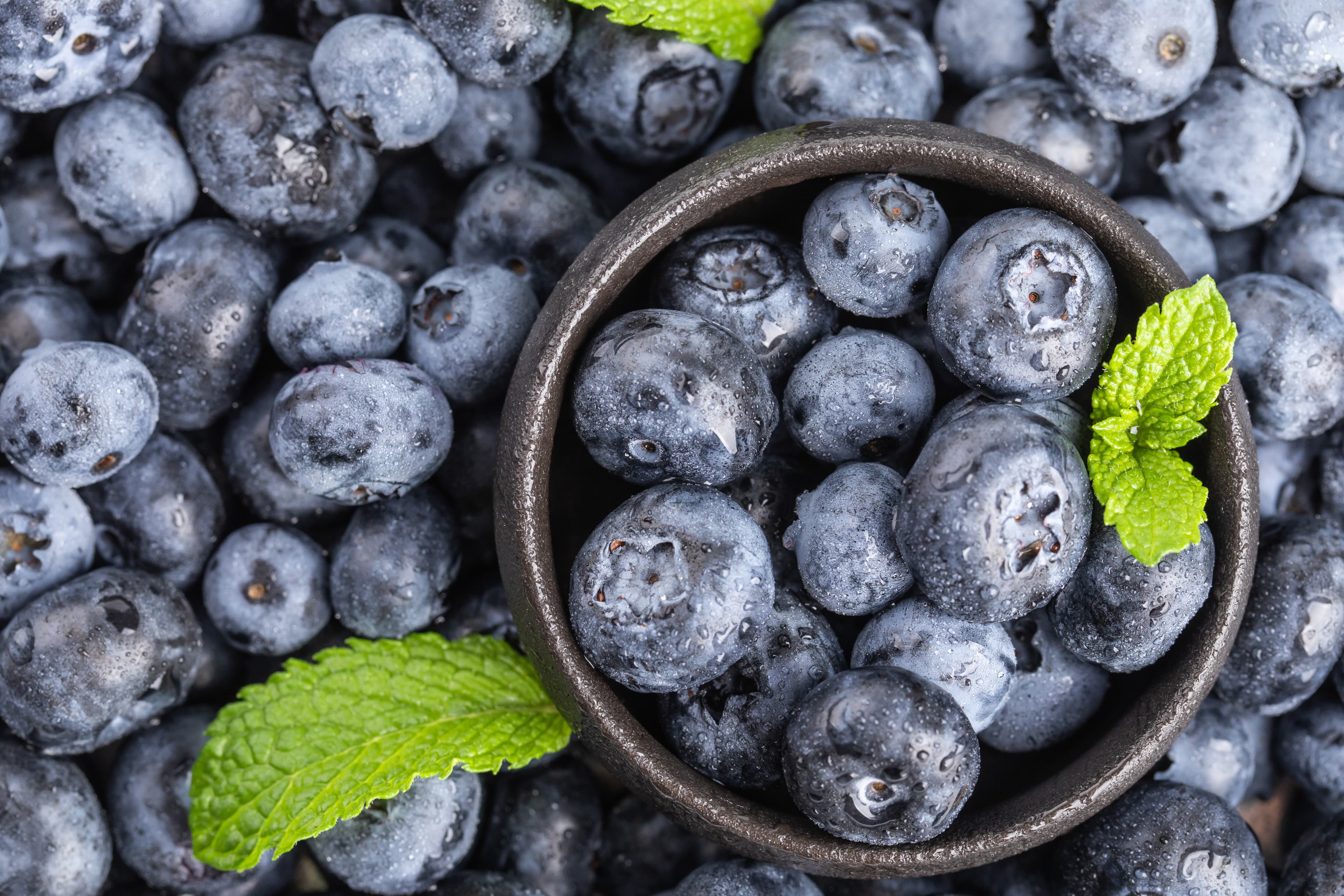 Blueberry Powder