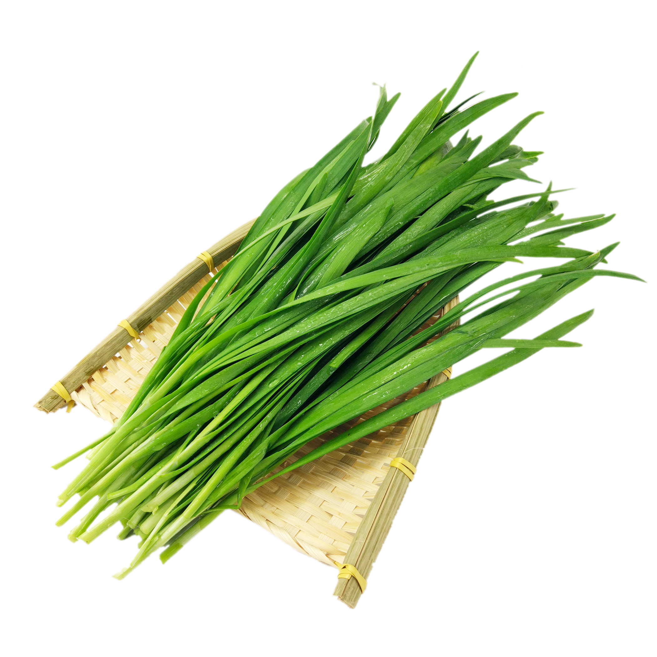 Chinese Chive (Allium tuberosum) extract (standardized extract) for B2B manufacturing